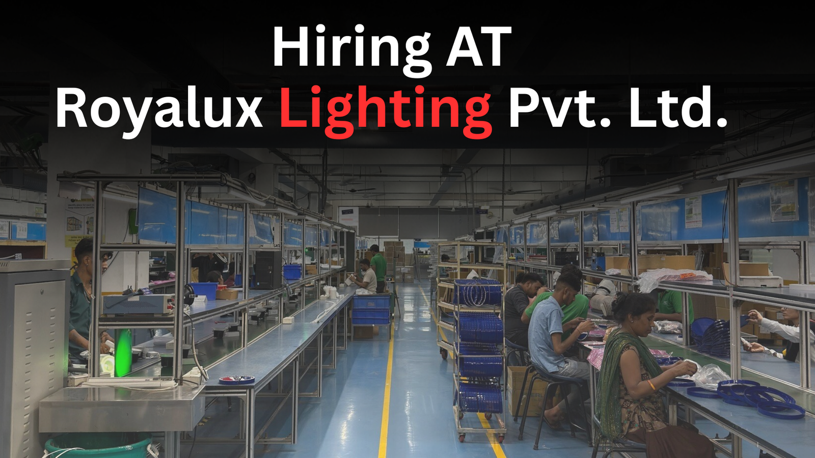 Royalux Lighting Helper Job Noida Phase 2
