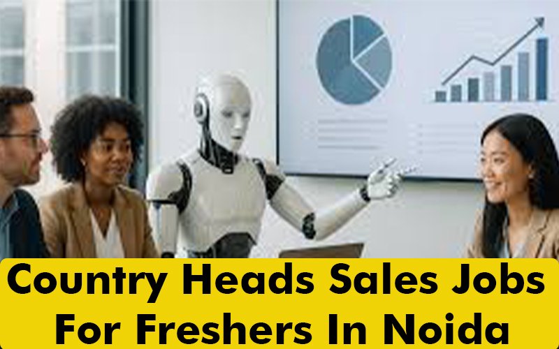 Country Heads Sales Jobs For Freshers In Noida
