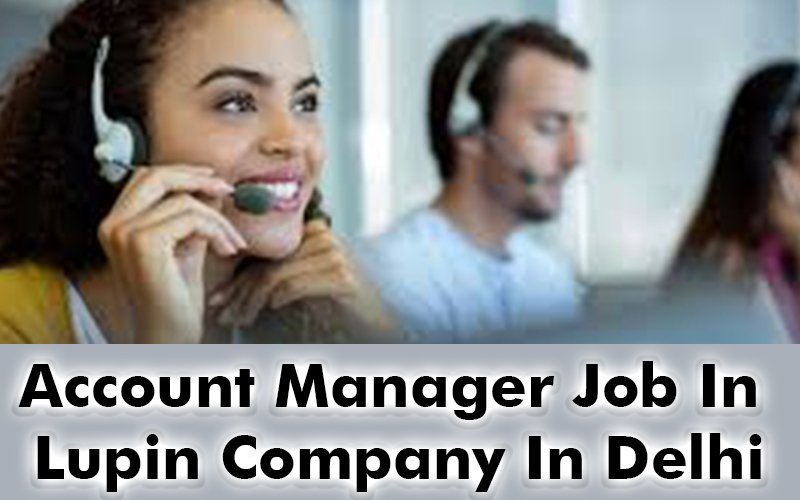 Account Manager Job In Lupin Company In Delhi