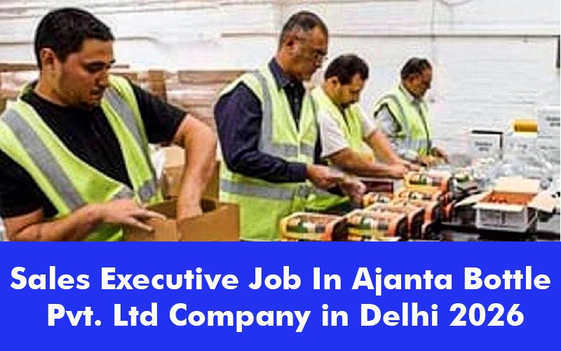 Sales Executive Job In Ajanta Bottle Pvt. Ltd Company in Delhi 2026